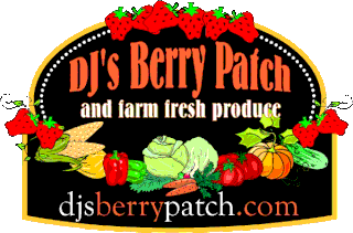 DJ's Berry Patch Logo